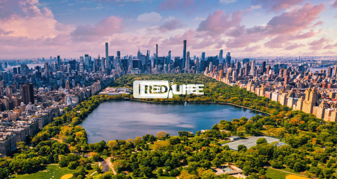 Live Exceptionally. Earn Exceptionally