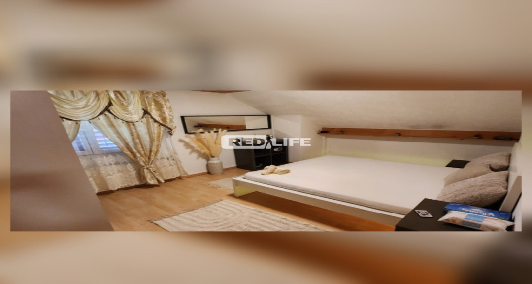 5 room Swiss erotic studio