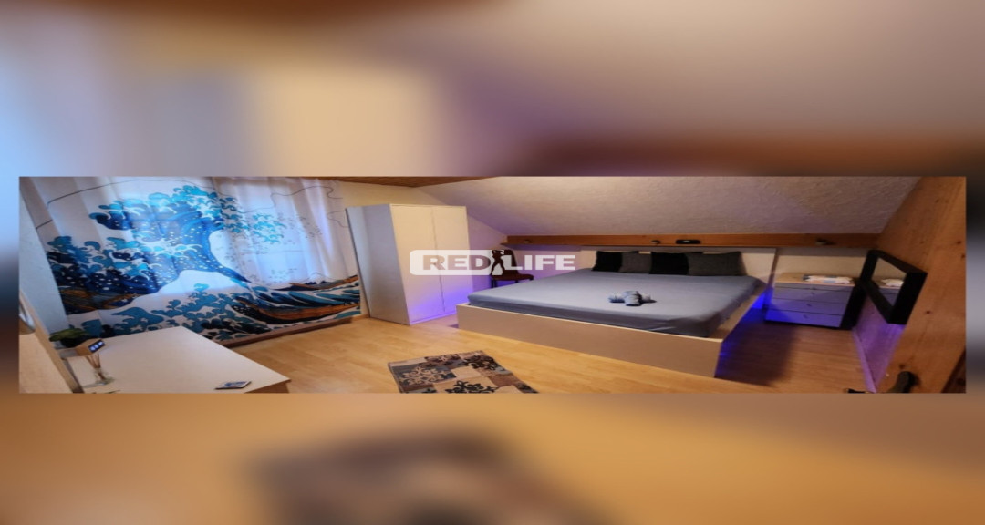 5 room Swiss erotic studio