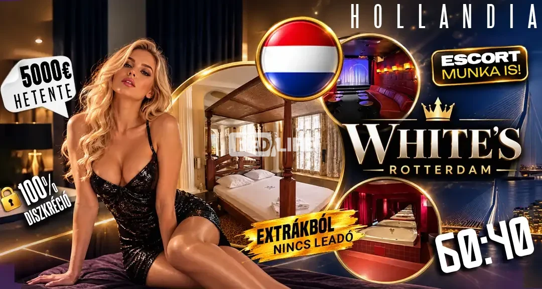 Extra magas kereset Hollandiában, a