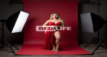 Escorts and companions required