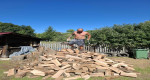 Erotikus filmezés