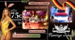 [Flamingo Island] es el club